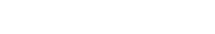 EcomScale India Logo